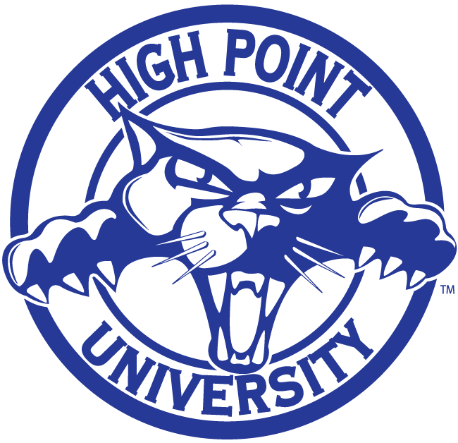 High Point Panthers 2004-2011 Alternate Logo diy DTF decal sticker